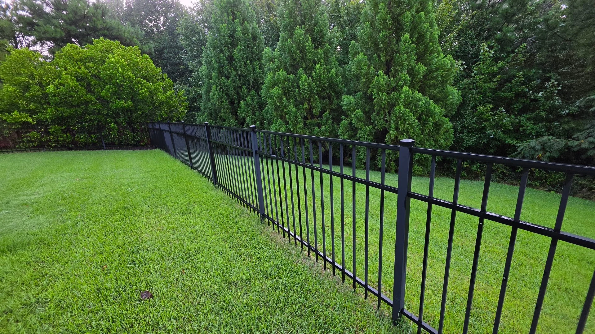 Black metal garden fencing